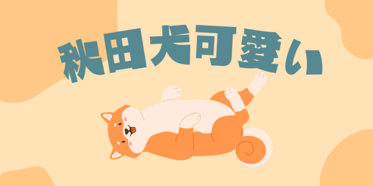 カワイイがいっぱい！ワンダーランド